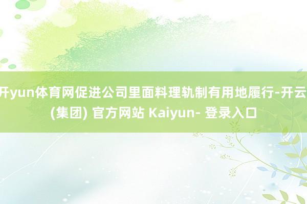 开yun体育网促进公司里面料理轨制有用地履行-开云 (集团) 官方网站 Kaiyun- 登录入口