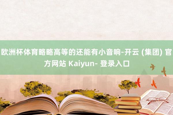 欧洲杯体育略略高等的还能有小音响-开云 (集团) 官方网站 Kaiyun- 登录入口