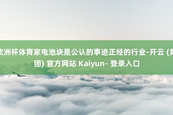 欧洲杯体育家电池块是公认的事迹正经的行业-开云 (集团) 官方网站 Kaiyun- 登录入口