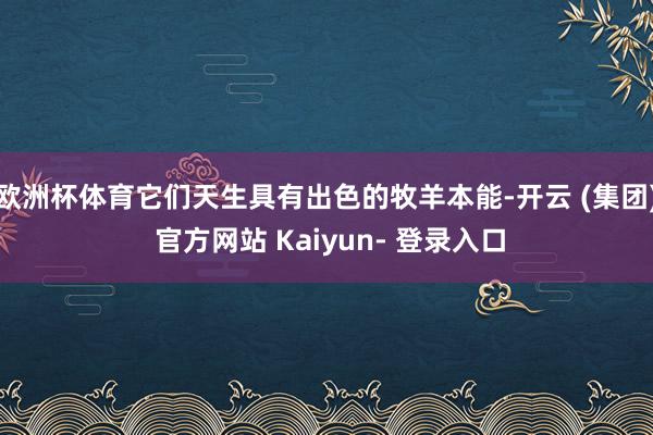 欧洲杯体育它们天生具有出色的牧羊本能-开云 (集团) 官方网站 Kaiyun- 登录入口