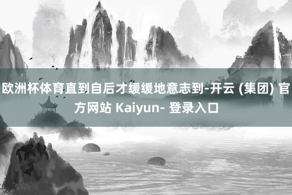 欧洲杯体育直到自后才缓缓地意志到-开云 (集团) 官方网站 Kaiyun- 登录入口