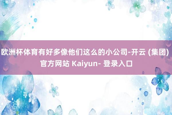 欧洲杯体育有好多像他们这么的小公司-开云 (集团) 官方网站 Kaiyun- 登录入口