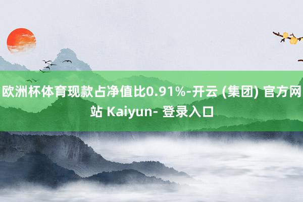 欧洲杯体育现款占净值比0.91%-开云 (集团) 官方网站 Kaiyun- 登录入口