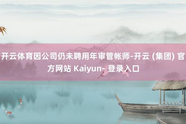 开云体育因公司仍未聘用年审管帐师-开云 (集团) 官方网站 Kaiyun- 登录入口