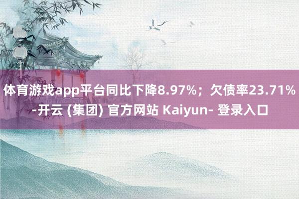 体育游戏app平台同比下降8.97%；欠债率23.71%-开云 (集团) 官方网站 Kaiyun- 登录入口