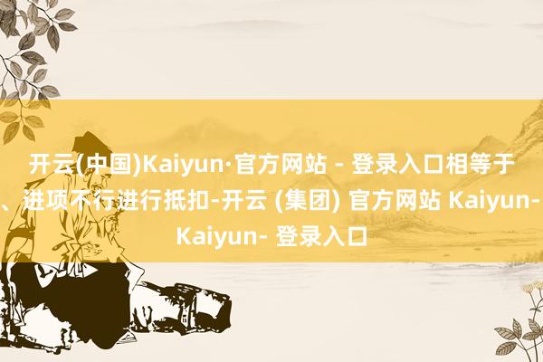 开云(中国)Kaiyun·官方网站 - 登录入口相等于莫得老本、进项不行进行抵扣-开云 (集团) 官方网站 Kaiyun- 登录入口