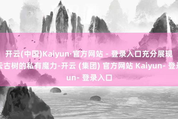 开云(中国)Kaiyun·官方网站 - 登录入口充分展现了白云古树的私有魔力-开云 (集团) 官方网站 Kaiyun- 登录入口